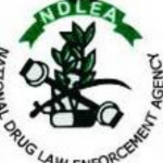 My Logo: NDLEA Recruitment 2020