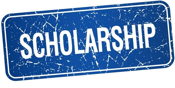 My Logo : Gani Fawehinmi Scholarship Foundation