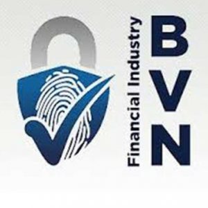 My logo: Check BVN Online