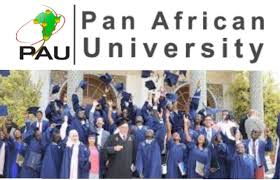 My Logo : PAU Scholarship