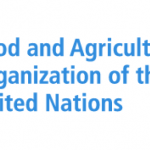 My Logo : FAO United Nations