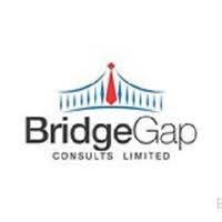 My logo : Bridge Gap-Careers Recruitment Application Portal