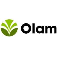 My Logo : Olam Nigeria Limited Graduate Recruitment