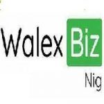 My Logo : Walex Biz Nigeria Limited Recruitment