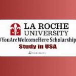 My Logo : La Roche University Scholarship