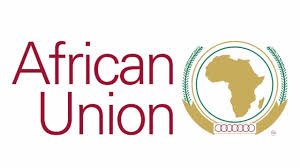 My Logo : African Union AU Media Fellowship