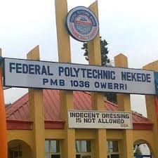 My Logo : Federal Nekede Poly Cut Off Mark