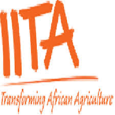 My Logo : iita Recruitment Portal