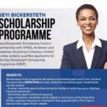 My Logo : Seyi Bickersteth Scholarship Programme