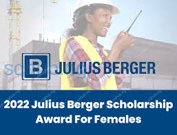 My Logo : julius berger nigeria scholarship scheme