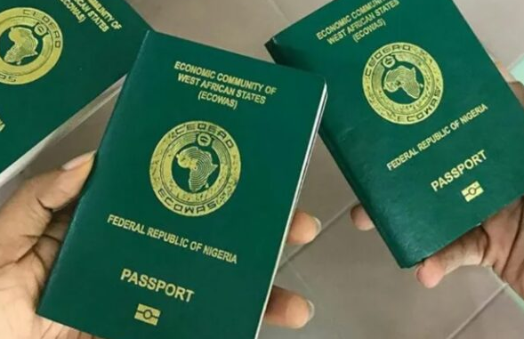 My Logo : Requirement for Nigerian International Passport Application