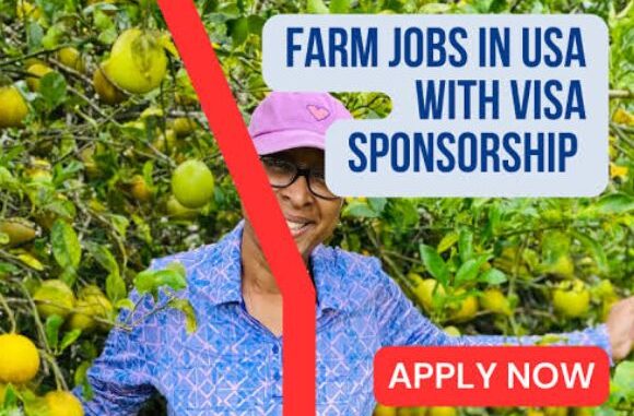 My Logo : Farming Jobs with free Visa Sponsorship in USA 2023
