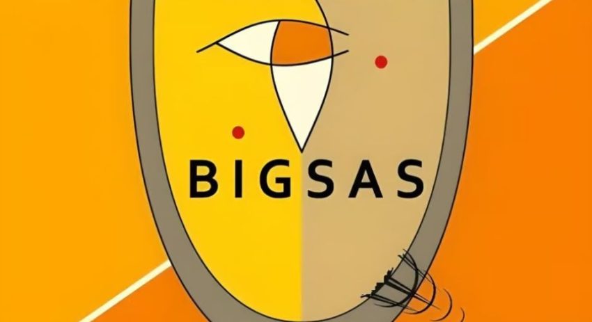 My Logo: Bigsas-Scholarships For African-Women Scholars