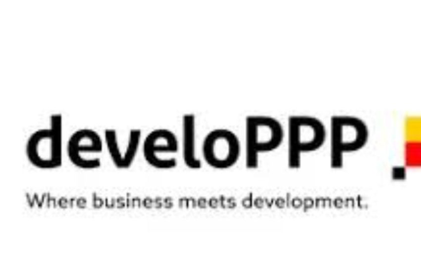 My Logo: DeveloPPP Ventures Ideas Competition for African Entrepreneurs