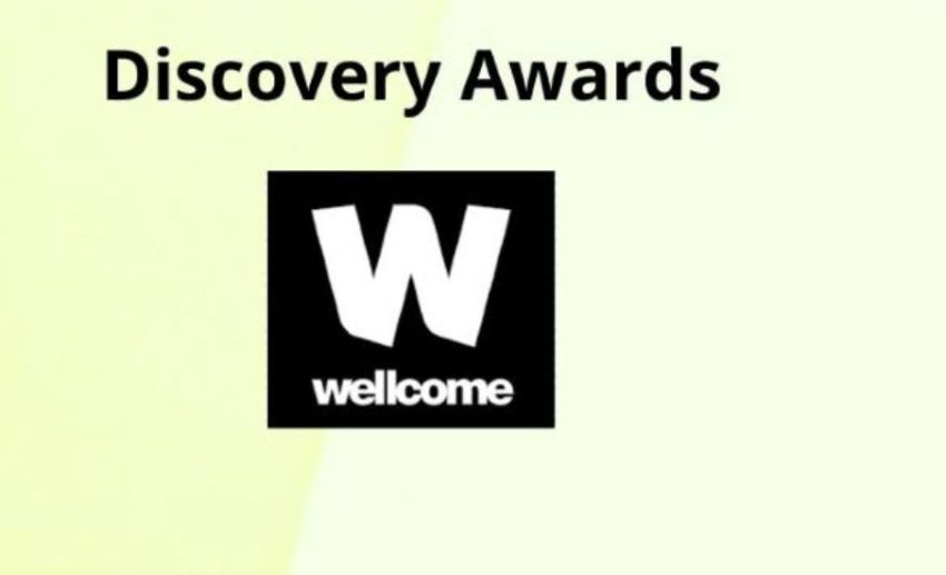 My Logo: Wellcome Discovery Awards for Researchers Worldwide 2024 Portal