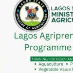 My Logo: Lagos Agripreneurship Program